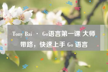 Tony Bai · Go语言第一课 大师带路，快速上手 Go 语言