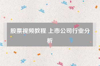 股票视频教程 上市公司行业分析