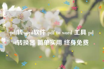pdf转word软件 pdf to word 工具 pdf转换器 简单实用 终身免费
