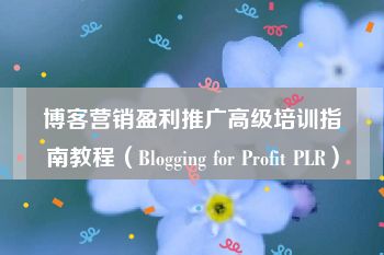 博客营销盈利推广高级培训指南教程（Blogging for Profit PLR）