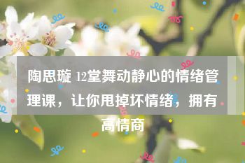 陶思璇 12堂舞动静心的情绪管理课，让你甩掉坏情绪，拥有高情商