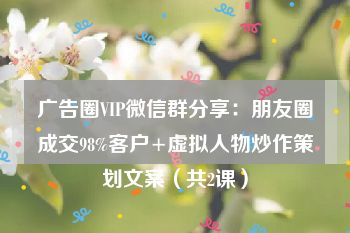 广告圈VIP微信群分享：朋友圈成交98%客户+虚拟人物炒作策划文案（共2课）