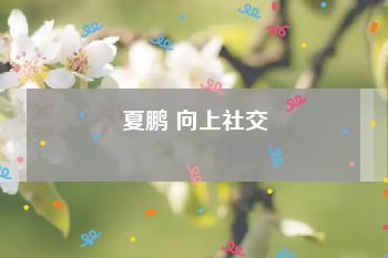 夏鹏 向上社交