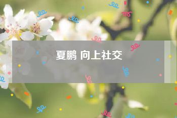 夏鹏 向上社交