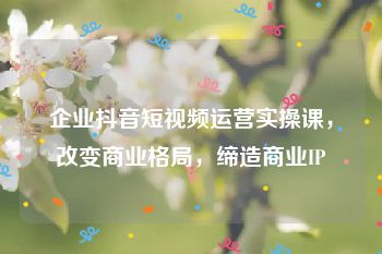 企业抖音短视频运营实操课，改变商业格局，缔造商业IP