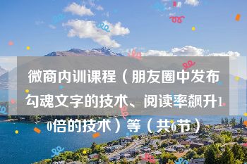 微商内训课程（朋友圈中发布勾魂文字的技术、阅读率飙升10倍的技术）等（共6节）