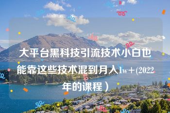 大平台黑科技引流技术小白也能靠这些技术混到月入1w+(2022年的课程）