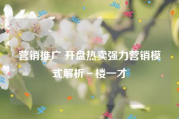 营销推广 开盘热卖强力营销模式解析－楼一才