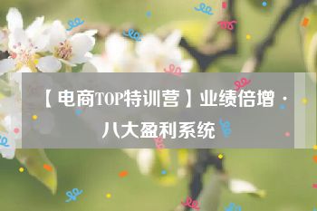 【电商TOP特训营】业绩倍增·八大盈利系统