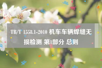TB/T 1558.1-2010 机车车辆焊缝无损检测 第1部分 总则