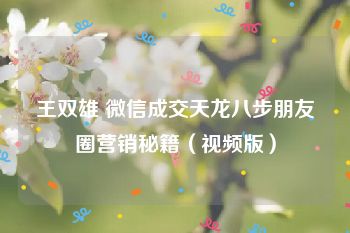 王双雄 微信成交天龙八步朋友圈营销秘籍（视频版）