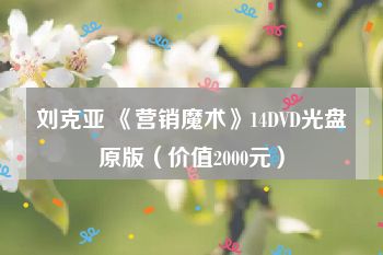 刘克亚 《营销魔术》14DVD光盘原版（价值2000元）