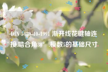 DIN 5480-10-1991 渐开线花键轴连接.啮合角30°.模数5的基础尺寸