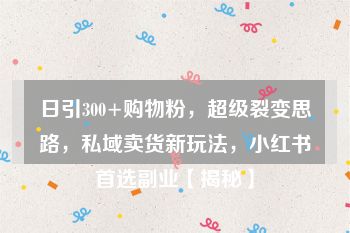 日引300+购物粉，超级裂变思路，私域卖货新玩法，小红书首选副业【揭秘】