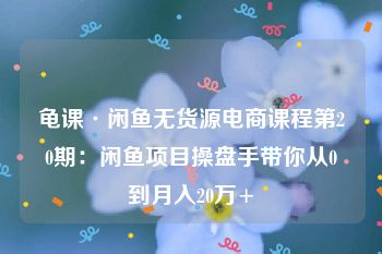 龟课·闲鱼无货源电商课程第20期：闲鱼项目操盘手带你从0到月入20万+