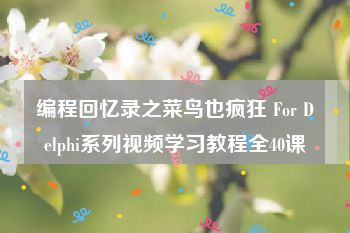 编程回忆录之菜鸟也疯狂 For Delphi系列视频学习教程全40课