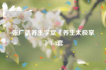 张广德养生学堂《养生太极掌》1-3套