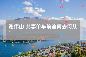 谢伟山 共享单车前途何去何从