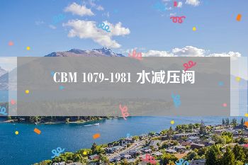 CBM 1079-1981 水减压阀