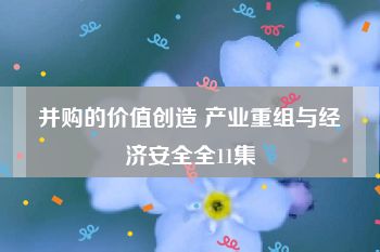 并购的价值创造 产业重组与经济安全全11集