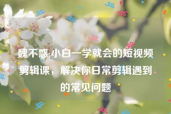 魏不惑:小白一学就会的短视频剪辑课，解决你日常剪辑遇到的常见问题