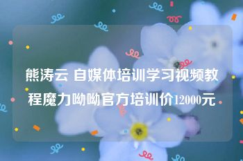 熊涛云 自媒体培训学习视频教程魔力呦呦官方培训价12000元