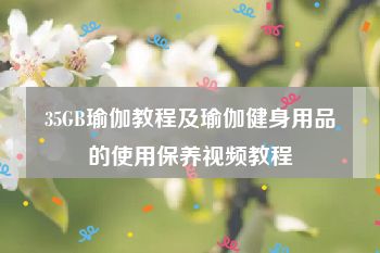 35GB瑜伽教程及瑜伽健身用品的使用保养视频教程