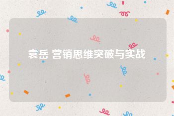 袁岳 营销思维突破与实战