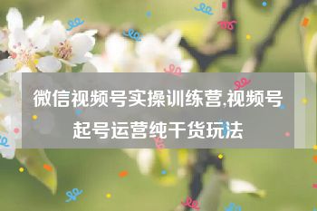 微信视频号实操训练营,视频号起号运营纯干货玩法