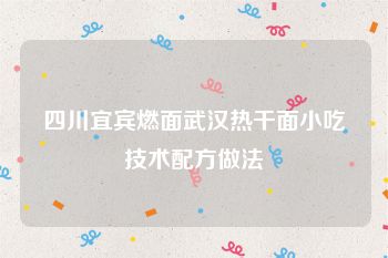 四川宜宾燃面武汉热干面小吃技术配方做法