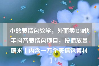 小憨表情包教学，外面卖1288快手抖音表情包项目，按播放量赚米【内含一万个表情包素材】