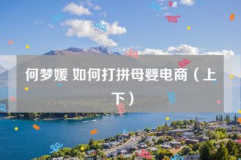 何梦媛 如何打拼母婴电商（上 下）