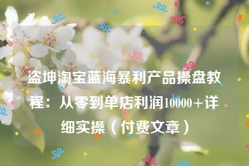 盗坤淘宝蓝海暴利产品操盘教程：从零到单店利润10000+详细实操（付费文章）