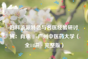 妇科流派特色与名医经验研讨班：肖承悰-广州中医药大学（全14讲·完整版）