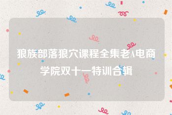 狼族部落狼穴课程全集老A电商学院双十一特训合辑