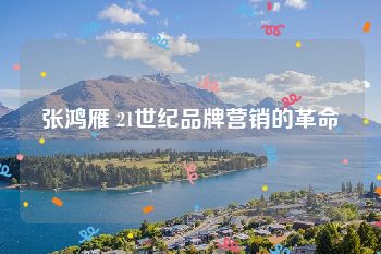 张鸿雁 21世纪品牌营销的革命