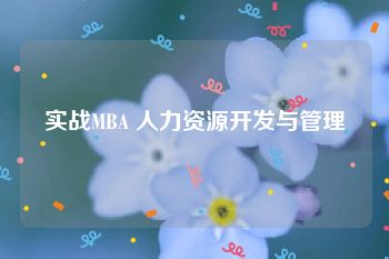 实战MBA 人力资源开发与管理