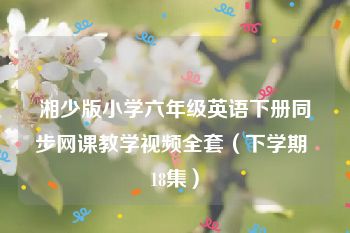 湘少版小学六年级英语下册同步网课教学视频全套（下学期 18集）