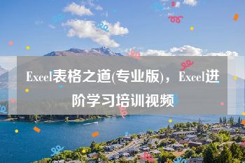 Excel表格之道(专业版)，Excel进阶学习培训视频