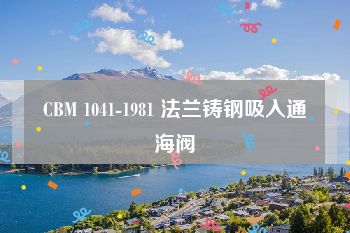 CBM 1041-1981 法兰铸钢吸入通海阀