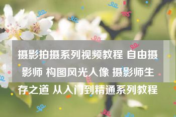 摄影拍摄系列视频教程 自由摄影师 构图风光人像 摄影师生存之道 从入门到精通系列教程