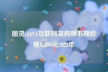 图灵-JAVA互联网架构师五期价值12880元2022年