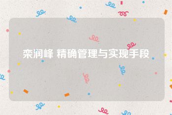 栾润峰 精确管理与实现手段