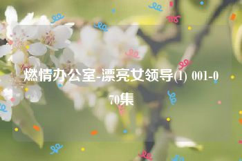 燃情办公室-漂亮女领导(1) 001-070集