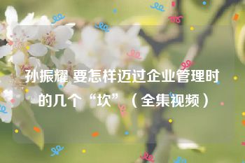 孙振耀 要怎样迈过企业管理时的几个“坎”（全集视频）