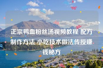 正宗鸭血粉丝汤视频教程 配方制作方法 小吃技术做法传授赚钱秘方