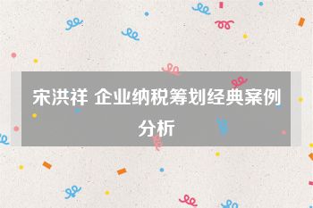 宋洪祥 企业纳税筹划经典案例分析