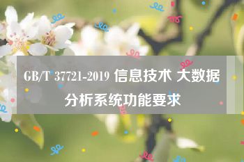 GB/T 37721-2019 信息技术 大数据分析系统功能要求