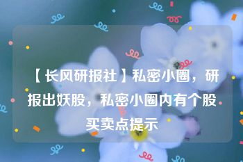 【长风研报社】私密小圈，研报出妖股，私密小圈内有个股买卖点提示