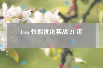 Java 性能优化实战 21 讲
